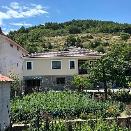 The Grandparent's House *