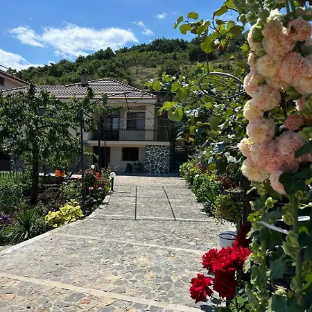 The Grandparent's House