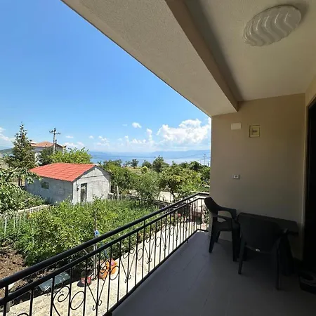 The Grandparent's House